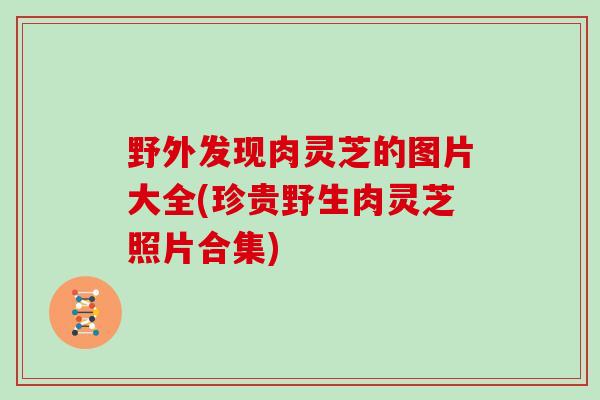 野外发现肉灵芝的图片大全(珍贵野生肉灵芝照片合集)