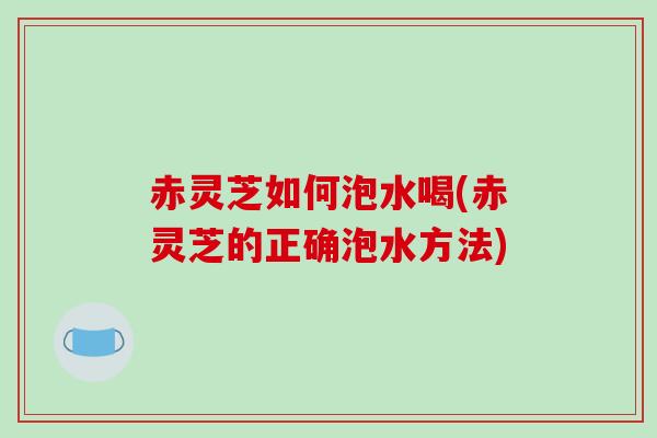 赤灵芝如何泡水喝(赤灵芝的正确泡水方法)