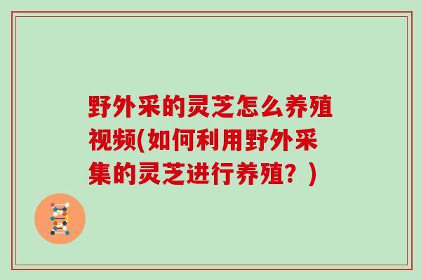 野外采的灵芝怎么养殖视频(如何利用野外采集的灵芝进行养殖？)
