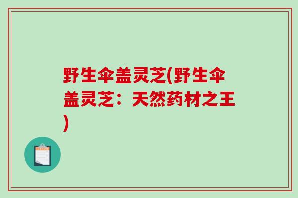 野生伞盖灵芝(野生伞盖灵芝：天然药材之王)
