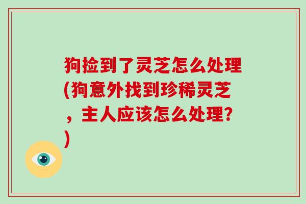 狗捡到了灵芝怎么处理(狗意外找到珍稀灵芝，主人应该怎么处理？)