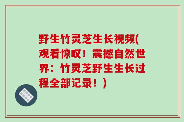 野生竹灵芝生长视频(观看惊叹！震撼自然世界：竹灵芝野生生长过程全部记录！)