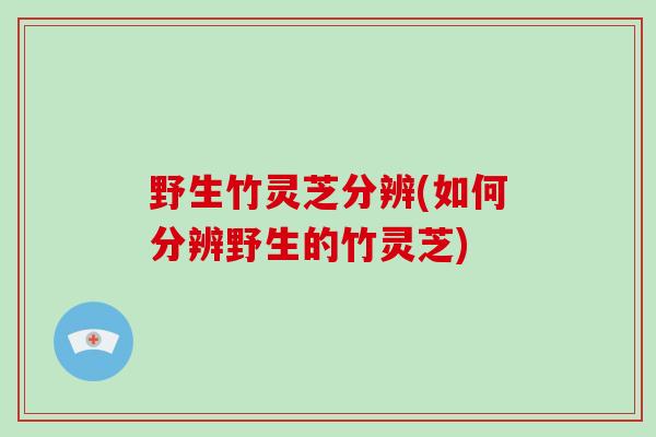 野生竹灵芝分辨(如何分辨野生的竹灵芝)