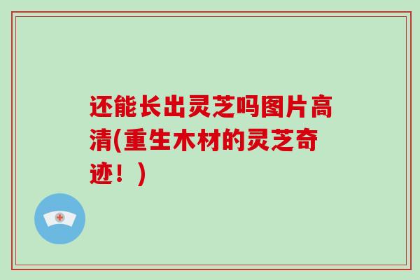 还能长出灵芝吗图片高清(重生木材的灵芝奇迹！)