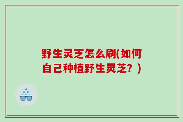 野生灵芝怎么刷(如何自己种植野生灵芝？)