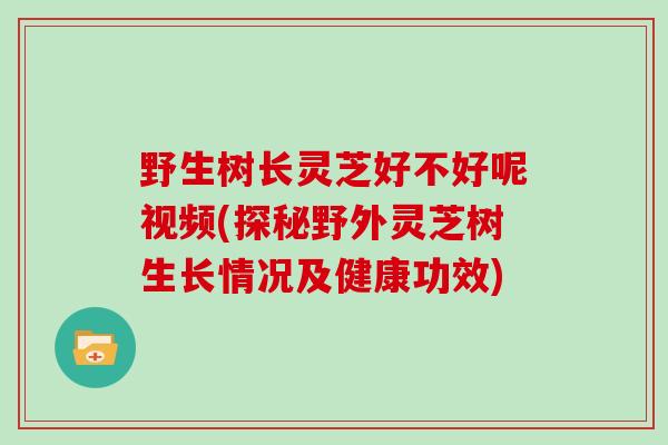 野生树长灵芝好不好呢视频(探秘野外灵芝树生长情况及健康功效)