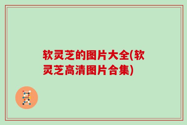 软灵芝的图片大全(软灵芝高清图片合集)