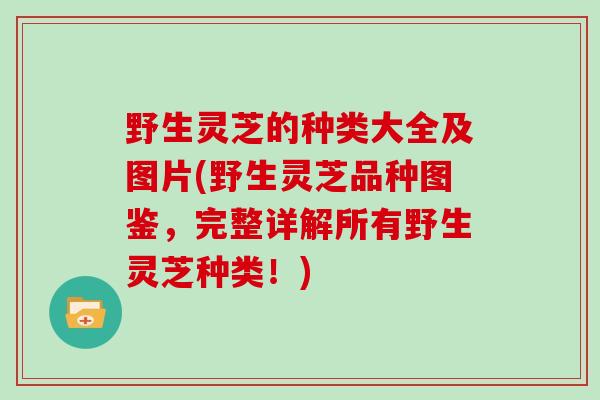 野生灵芝的种类大全及图片(野生灵芝品种图鉴，完整详解所有野生灵芝种类！)