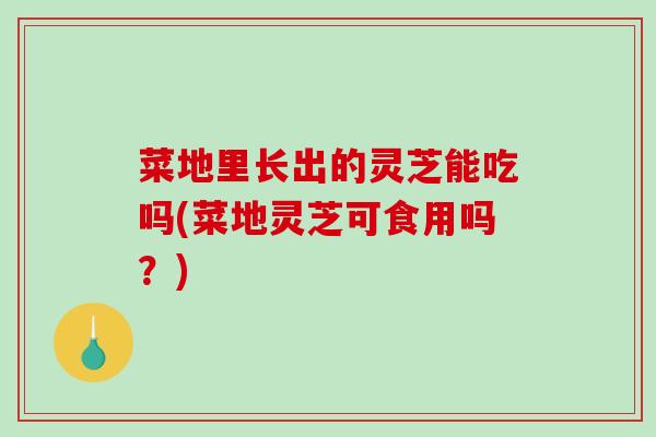 菜地里长出的灵芝能吃吗(菜地灵芝可食用吗？)