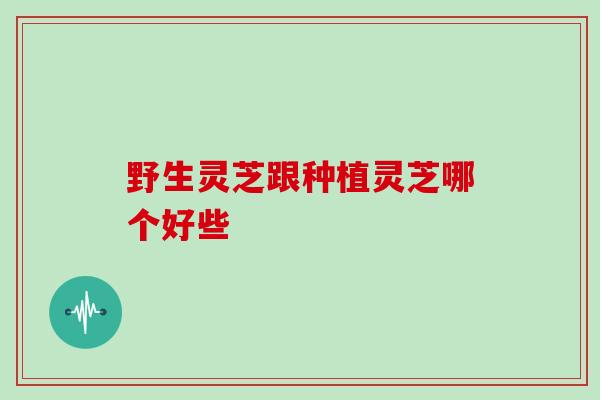 野生灵芝跟种植灵芝哪个好些