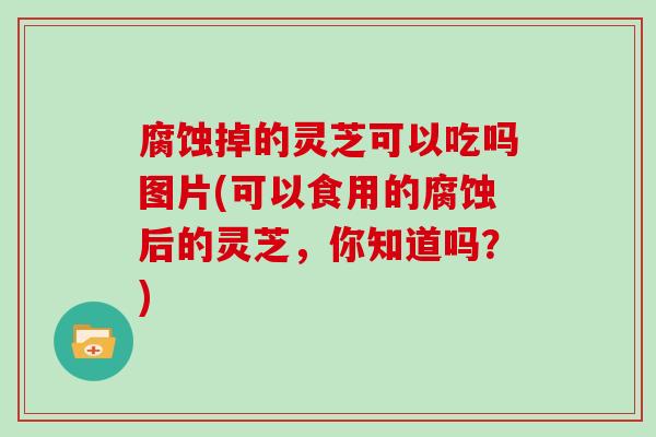 腐蚀掉的灵芝可以吃吗图片(可以食用的腐蚀后的灵芝，你知道吗？)