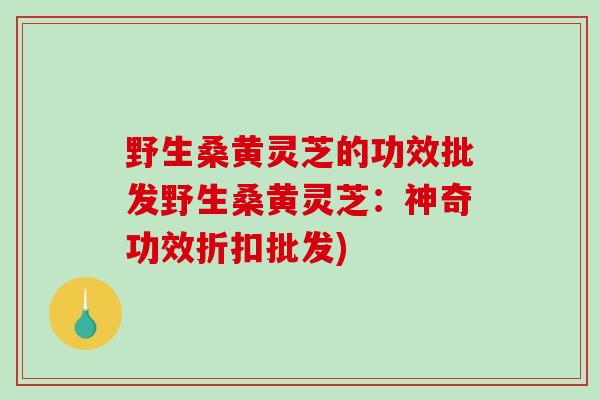 野生桑黄灵芝的功效批发野生桑黄灵芝：神奇功效折扣批发)