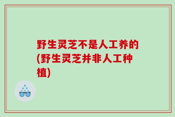 野生灵芝不是人工养的(野生灵芝并非人工种植)