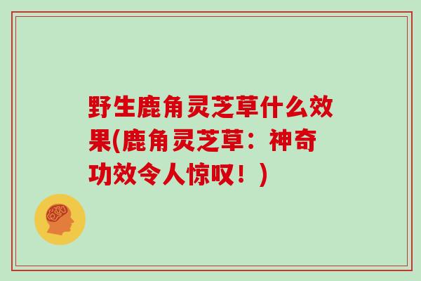 野生鹿角灵芝草什么效果(鹿角灵芝草：神奇功效令人惊叹！)