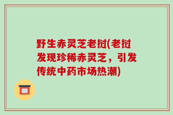 野生赤灵芝老挝(老挝发现珍稀赤灵芝，引发传统市场热潮)