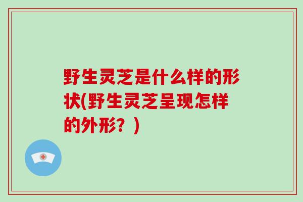 野生灵芝是什么样的形状(野生灵芝呈现怎样的外形？)