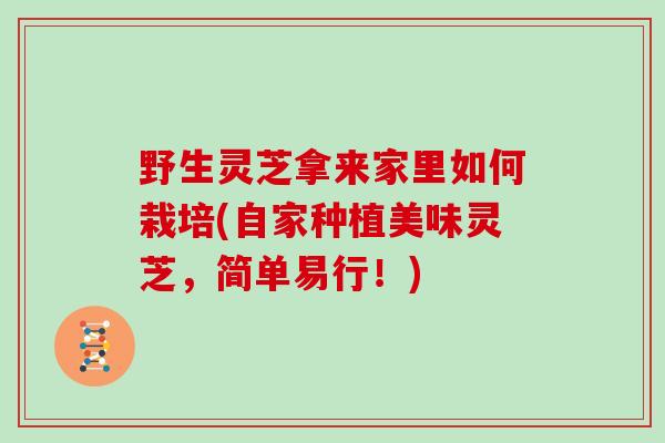 野生灵芝拿来家里如何栽培(自家种植美味灵芝，简单易行！)