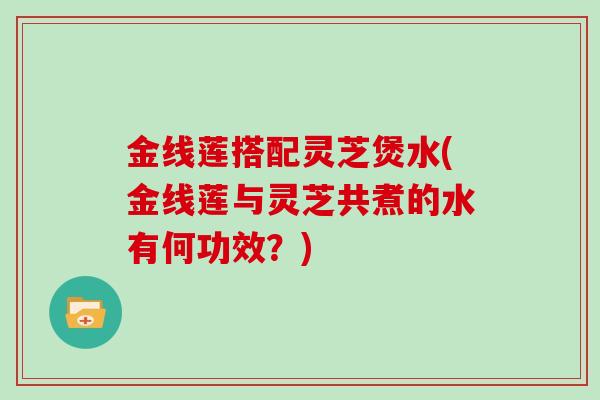 金线莲搭配灵芝煲水(金线莲与灵芝共煮的水有何功效？)