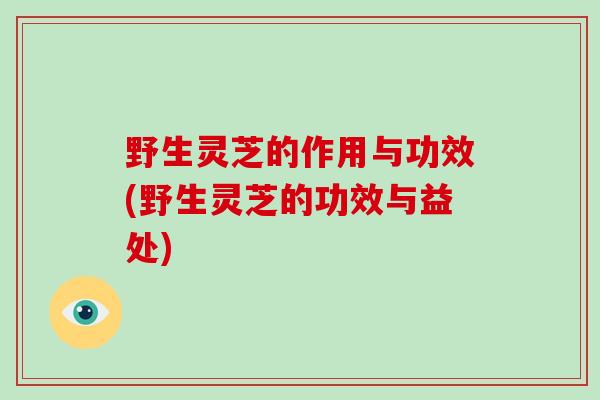 野生灵芝的作用与功效(野生灵芝的功效与益处)