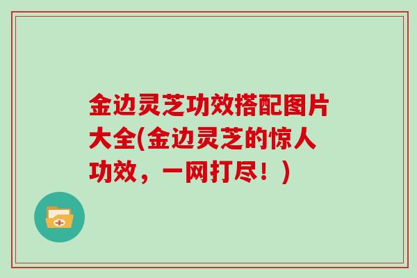 金边灵芝功效搭配图片大全(金边灵芝的惊人功效，一网打尽！)