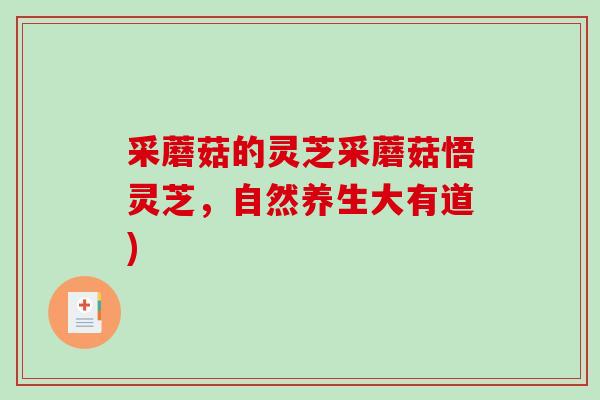 采蘑菇的灵芝采蘑菇悟灵芝，自然养生大有道)