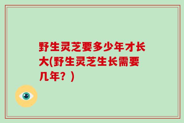 野生灵芝要多少年才长大(野生灵芝生长需要几年？)