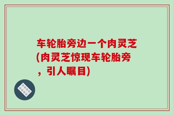 车轮胎旁边一个肉灵芝(肉灵芝惊现车轮胎旁，引人瞩目)