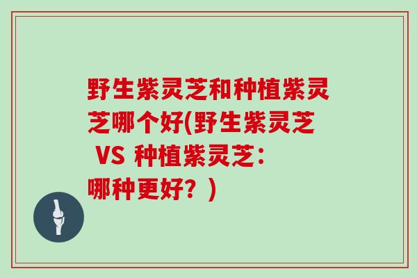 野生紫灵芝和种植紫灵芝哪个好(野生紫灵芝 VS 种植紫灵芝：哪种更好？)