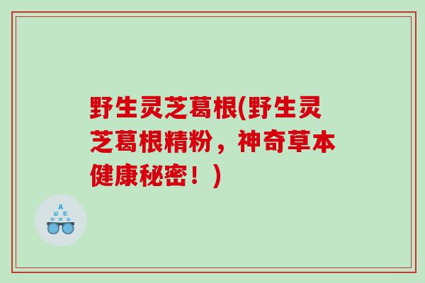 野生灵芝葛根(野生灵芝葛根精粉，神奇草本健康秘密！)