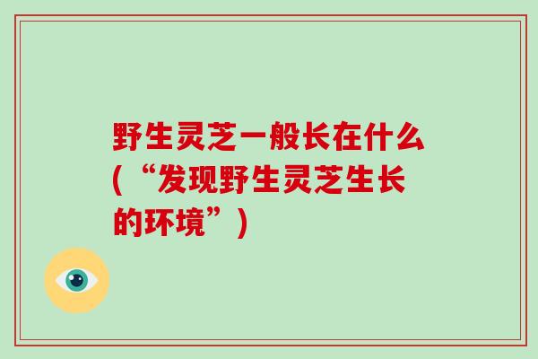 野生灵芝一般长在什么(“发现野生灵芝生长的环境”)
