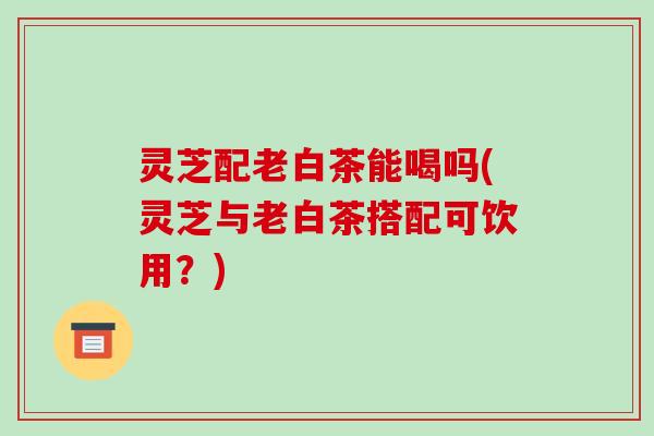 灵芝配老白茶能喝吗(灵芝与老白茶搭配可饮用？)