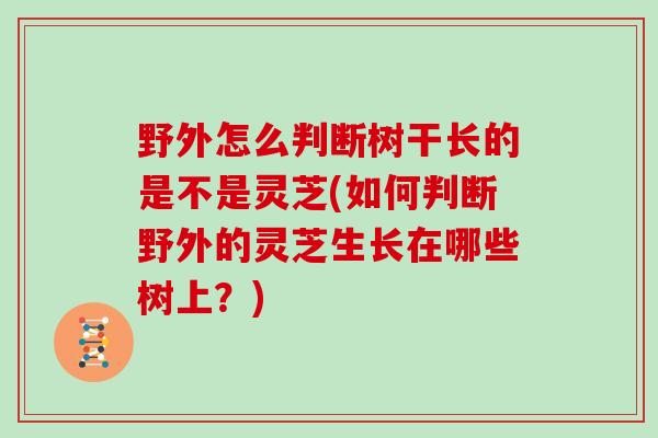 野外怎么判断树干长的是不是灵芝(如何判断野外的灵芝生长在哪些树上？)