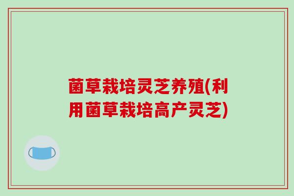 菌草栽培灵芝养殖(利用菌草栽培高产灵芝)