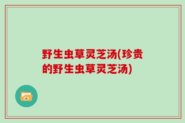 野生虫草灵芝汤(珍贵的野生虫草灵芝汤)