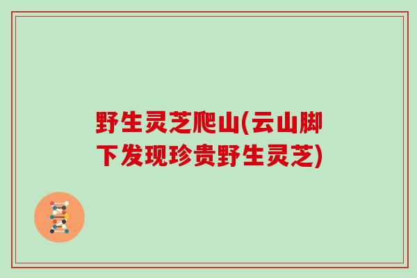 野生灵芝爬山(云山脚下发现珍贵野生灵芝)