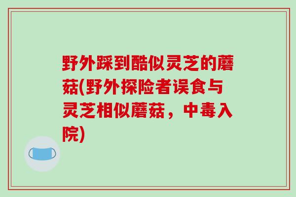 野外踩到酷似灵芝的蘑菇(野外探险者误食与灵芝相似蘑菇，中毒入院)
