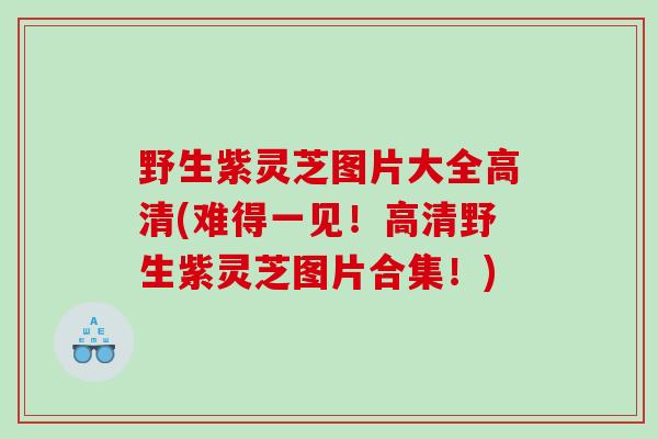野生紫灵芝图片大全高清(难得一见！高清野生紫灵芝图片合集！)