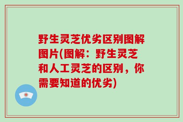 野生灵芝优劣区别图解图片(图解：野生灵芝和人工灵芝的区别，你需要知道的优劣)