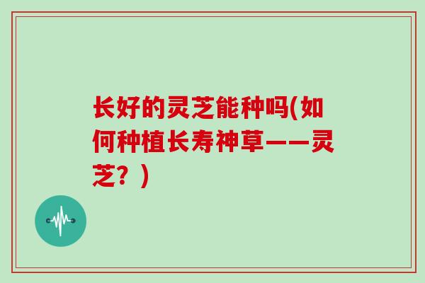 长好的灵芝能种吗(如何种植长寿神草——灵芝？)