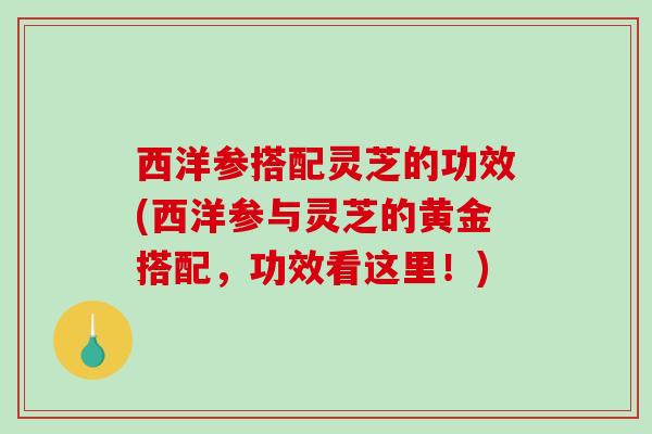 西洋参搭配灵芝的功效(西洋参与灵芝的黄金搭配，功效看这里！)