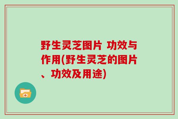野生灵芝图片 功效与作用(野生灵芝的图片、功效及用途)