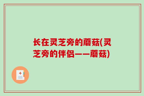 长在灵芝旁的蘑菇(灵芝旁的伴侣——蘑菇)