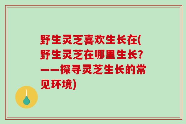 野生灵芝喜欢生长在(野生灵芝在哪里生长？——探寻灵芝生长的常见环境)