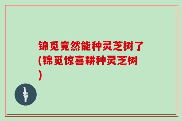 锦觅竟然能种灵芝树了(锦觅惊喜耕种灵芝树)