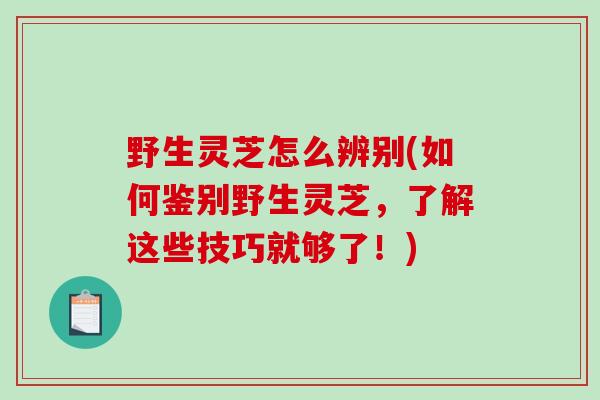 野生灵芝怎么辨别(如何鉴别野生灵芝，了解这些技巧就够了！)