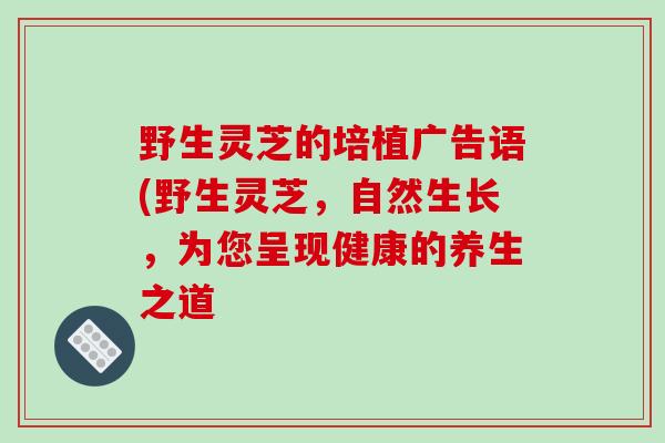 野生灵芝的培植广告语(野生灵芝，自然生长，为您呈现健康的养生之道