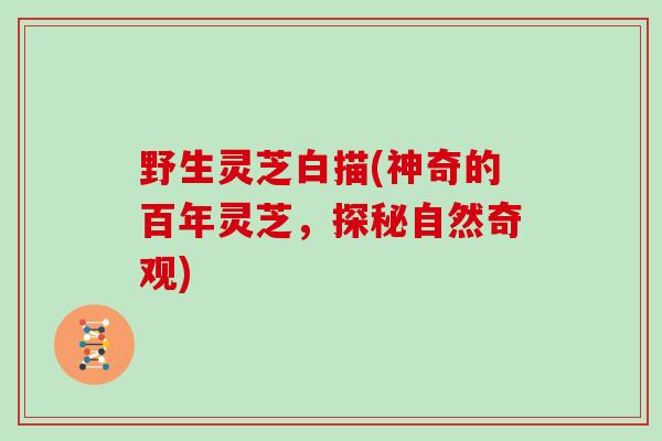 野生灵芝白描(神奇的百年灵芝，探秘自然奇观)