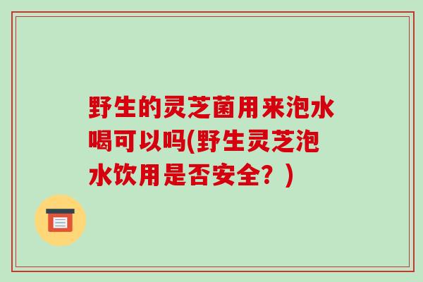 野生的灵芝菌用来泡水喝可以吗(野生灵芝泡水饮用是否安全？)
