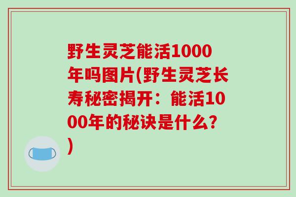 野生灵芝能活1000年吗图片(野生灵芝长寿秘密揭开：能活1000年的秘诀是什么？)