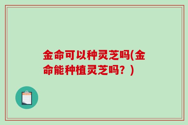 金命可以种灵芝吗(金命能种植灵芝吗？)